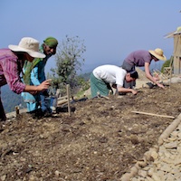 Gardening