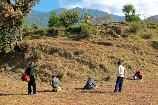 Surveying-the-site