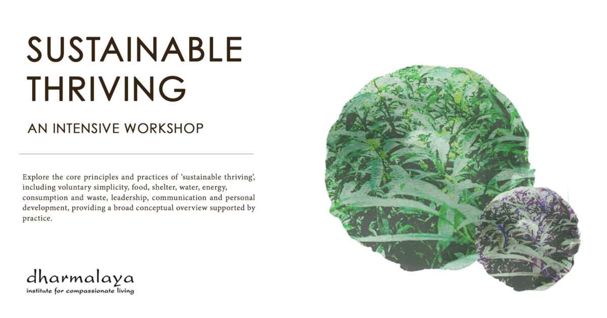 Sustainable Thriving workshop poster