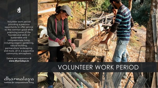 Volunteer Work Period