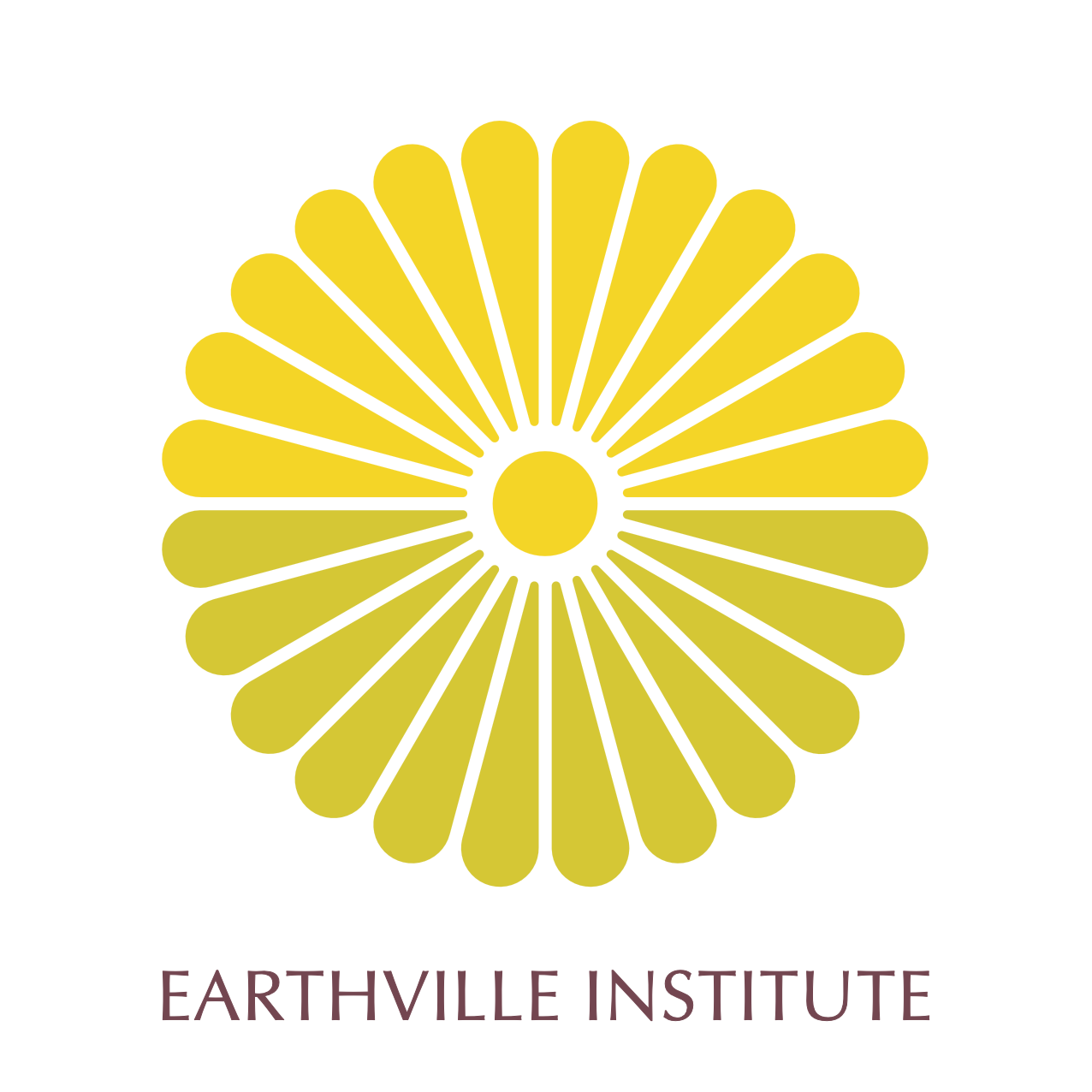 Earthville Institute, Colorado