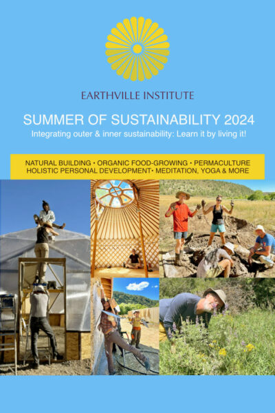 Summer of Sustainability 2024 poster